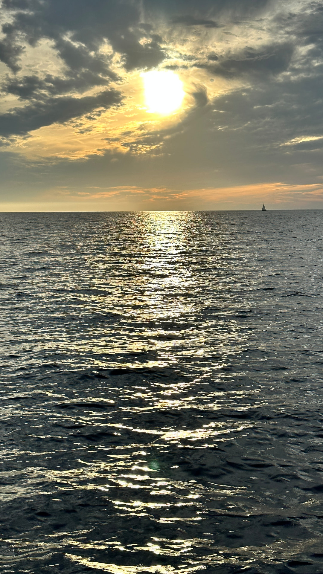 Sunset & Swim